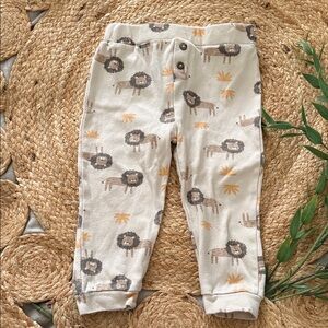 Kit + Pearl Fun Lion Safari Print Jogger 100% cotton. 24mo